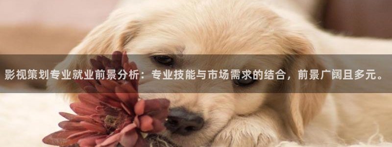人人爽人人爽人人片