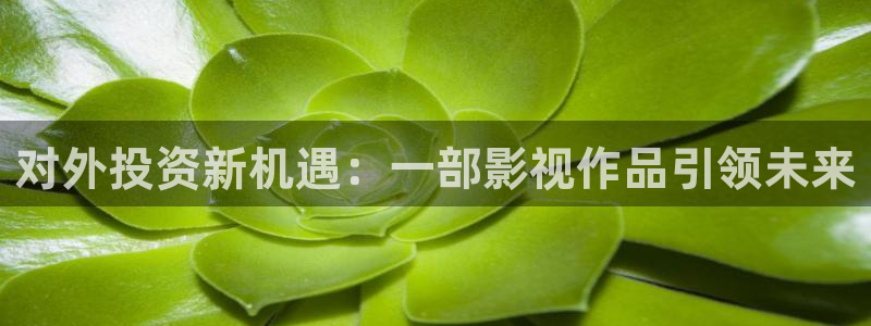人人爽毛片
