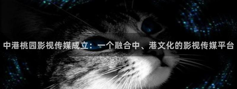 看黄视频人人干全